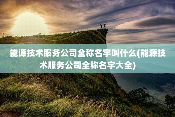 能源技术服务公司全称名字叫什么(能源技术服务公司全称名字大全)