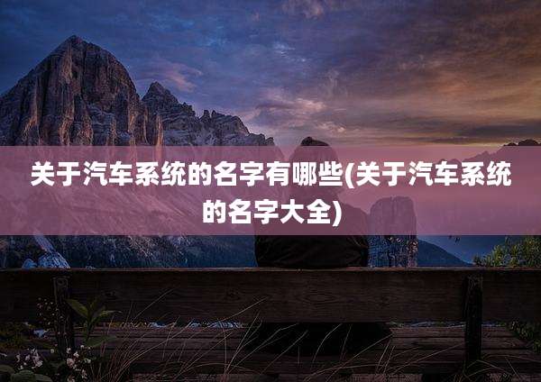 关于汽车系统的名字有哪些(关于汽车系统的名字大全)