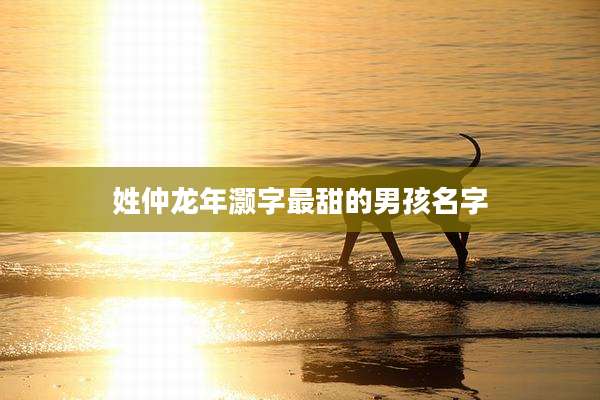 姓仲龙年灏字最甜的男孩名字