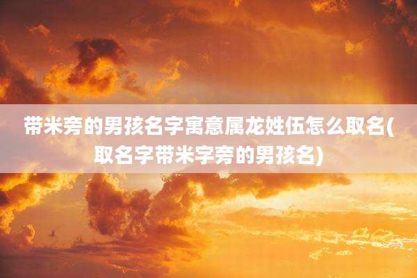 带米旁的男孩名字寓意属龙姓伍怎么取名(取名字带米字旁的男孩名)
