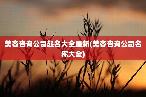 美容咨询公司起名大全最新(美容咨询公司名称大全)