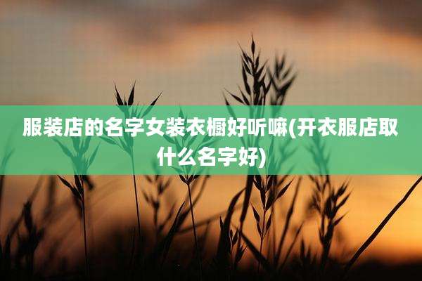 服装店的名字女装衣橱好听嘛(开衣服店取什么名字好)