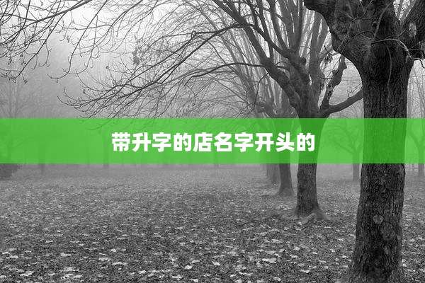 带升字的店名字开头的