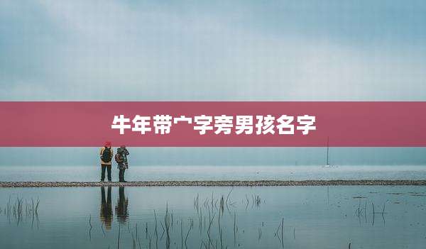 牛年带宀字旁男孩名字