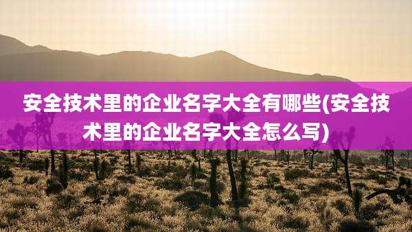 安全技术里的企业名字大全有哪些(安全技术里的企业名字大全怎么写)