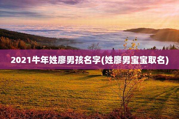 2021牛年姓廖男孩名字(姓廖男宝宝取名)