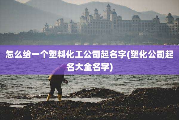 怎么给一个塑料化工公司起名字(塑化公司起名大全名字)