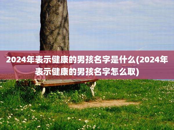 2024年表示健康的男孩名字是什么(2024年表示健康的男孩名字怎么取)