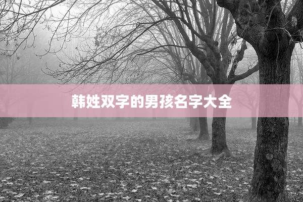 韩姓双字的男孩名字大全