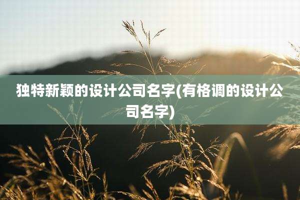 独特新颖的设计公司名字(有格调的设计公司名字)