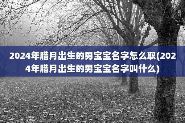 2024年腊月出生的男宝宝名字怎么取(2024年腊月出生的男宝宝名字叫什么)