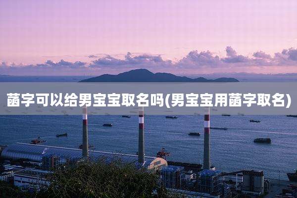 菡字可以给男宝宝取名吗(男宝宝用菡字取名)