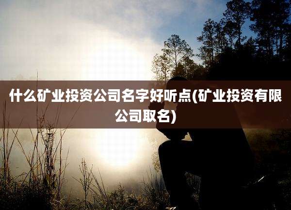 什么矿业投资公司名字好听点(矿业投资有限公司取名)
