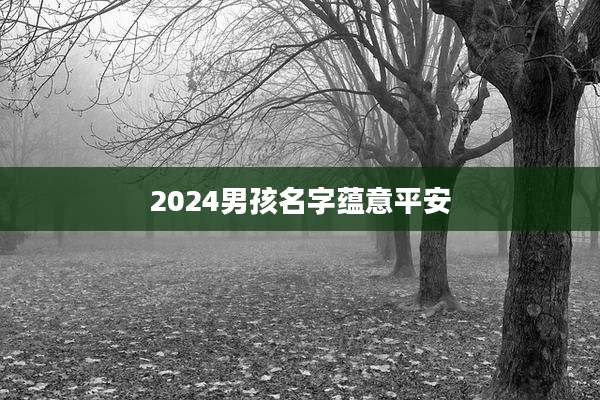 2024男孩名字蕴意平安