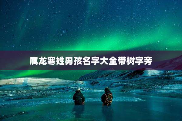 属龙寒姓男孩名字大全带树字旁