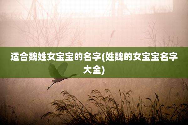 适合魏姓女宝宝的名字(姓魏的女宝宝名字大全)