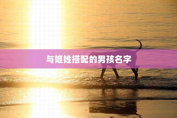 与姬姓搭配的男孩名字