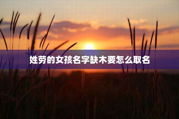 姓劳的女孩名字缺木要怎么取名