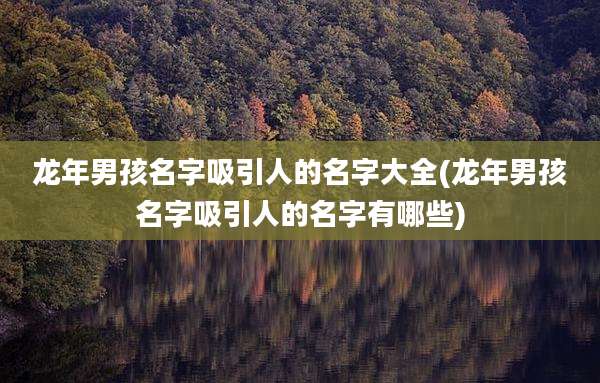 龙年男孩名字吸引人的名字大全(龙年男孩名字吸引人的名字有哪些)