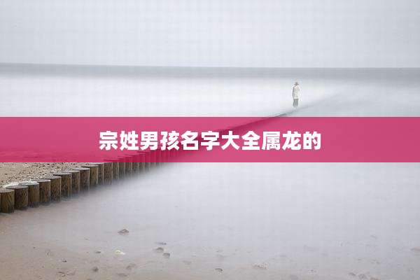 宗姓男孩名字大全属龙的