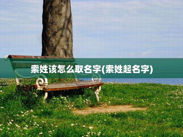 索姓该怎么取名字(索姓起名字)