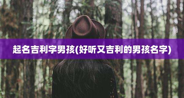 起名吉利字男孩(好听又吉利的男孩名字)