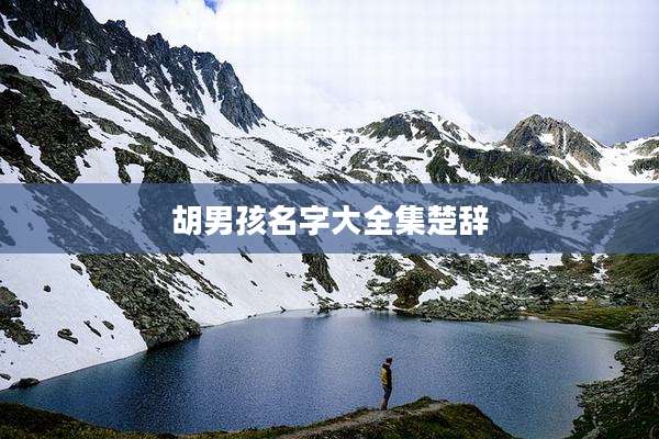 胡男孩名字大全集楚辞