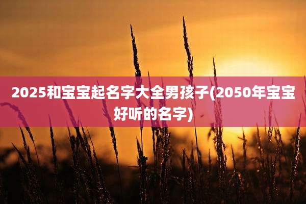 2025和宝宝起名字大全男孩子(2050年宝宝好听的名字)