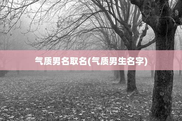 气质男名取名(气质男生名字)