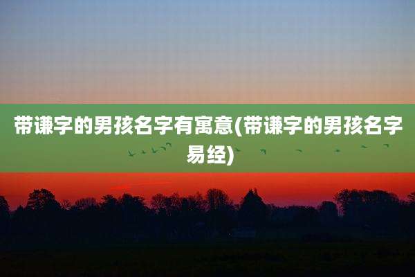 带谦字的男孩名字有寓意(带谦字的男孩名字 易经)