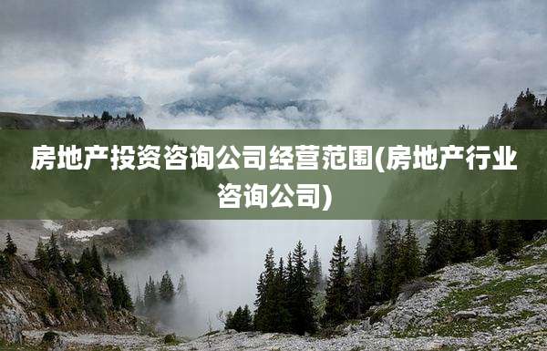 房地产投资咨询公司经营范围(房地产行业咨询公司)