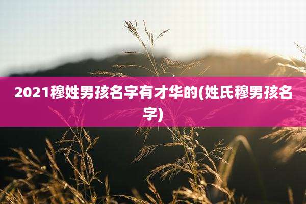2021穆姓男孩名字有才华的(姓氏穆男孩名字)