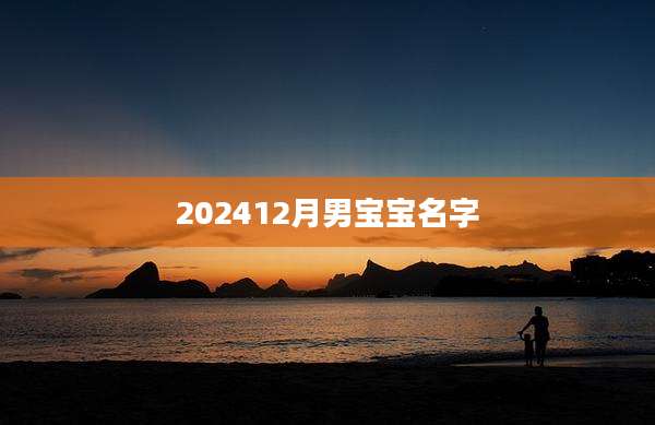 202412月男宝宝名字