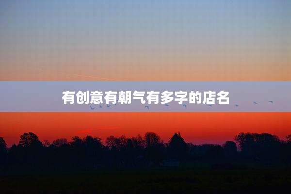 有创意有朝气有多字的店名