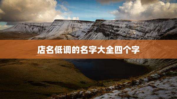 店名低调的名字大全四个字