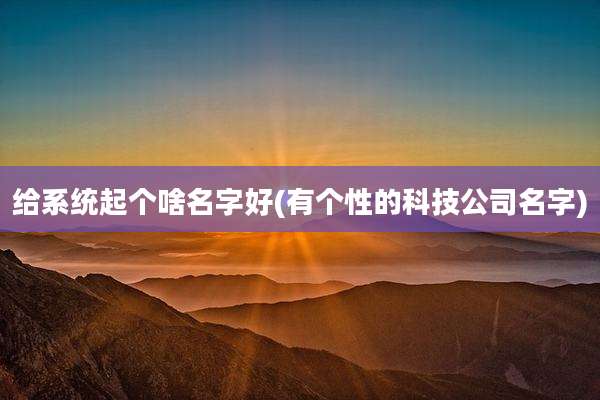 给系统起个啥名字好(有个性的科技公司名字)