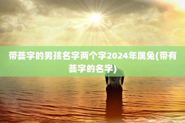 带荟字的男孩名字两个字2024年属兔(带有荟字的名字)