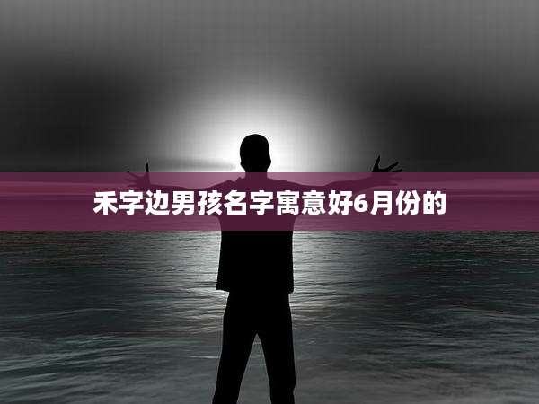 禾字边男孩名字寓意好6月份的