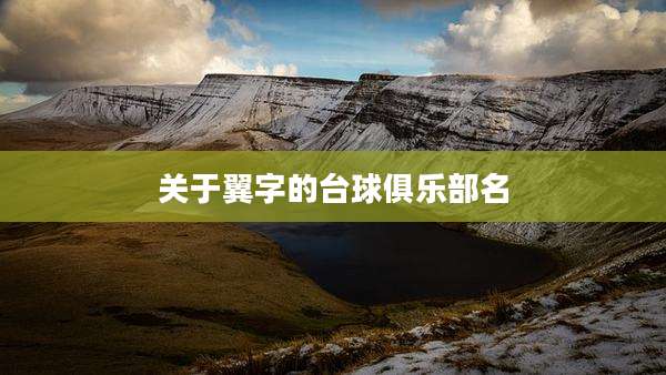 关于翼字的台球俱乐部名
