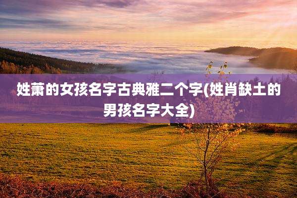 姓萧的女孩名字古典雅二个字(姓肖缺土的男孩名字大全)