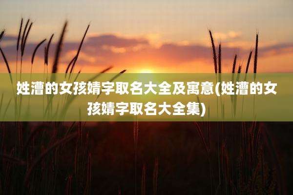 姓漕的女孩婧字取名大全及寓意(姓漕的女孩婧字取名大全集)