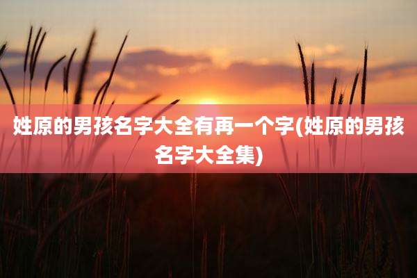 姓原的男孩名字大全有再一个字(姓原的男孩名字大全集)