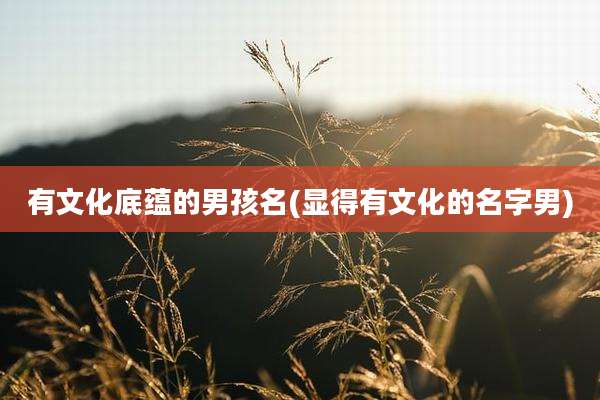 有文化底蕴的男孩名(显得有文化的名字男)