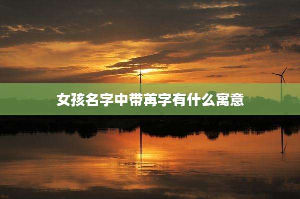 女孩名字中带苒字有什么寓意