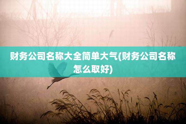 财务公司名称大全简单大气(财务公司名称怎么取好)