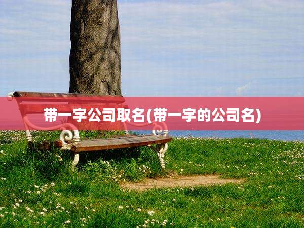 带一字公司取名(带一字的公司名)
