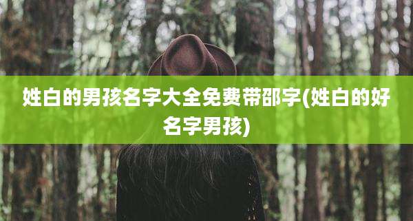 姓白的男孩名字大全免费带邵字(姓白的好名字男孩)