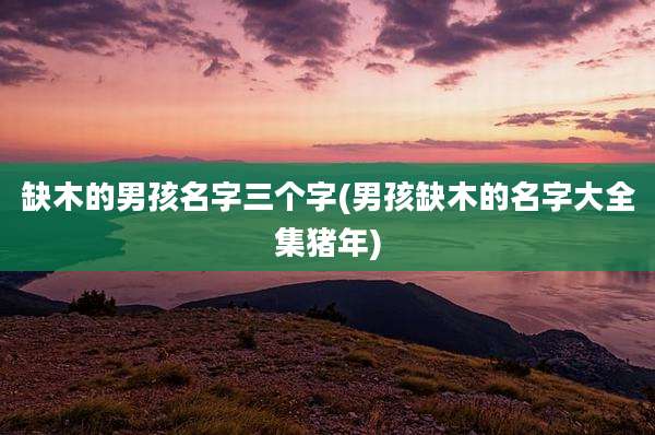 缺木的男孩名字三个字(男孩缺木的名字大全集猪年)