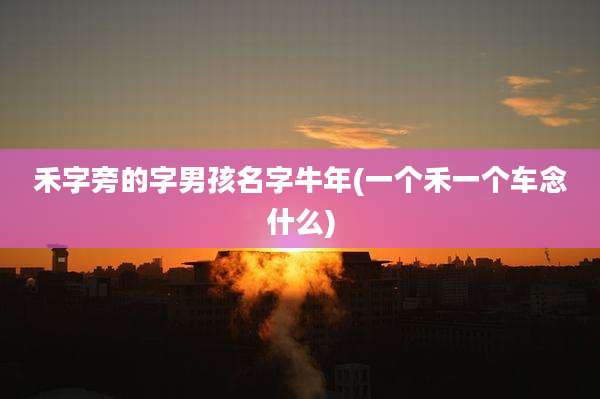 禾字旁的字男孩名字牛年(一个禾一个车念什么)