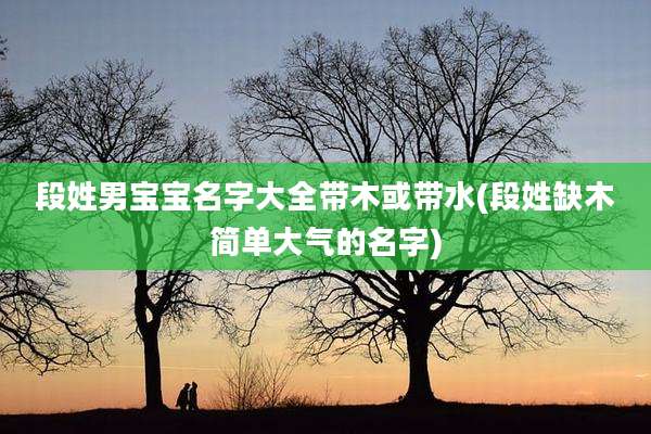 段姓男宝宝名字大全带木或带水(段姓缺木简单大气的名字)